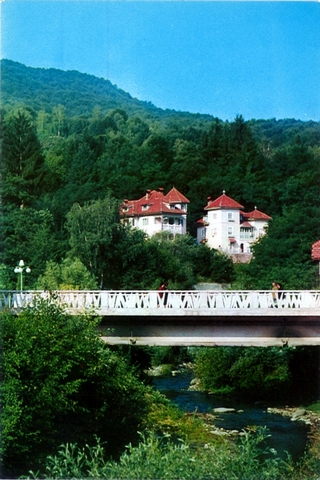 1281 - Olanesti